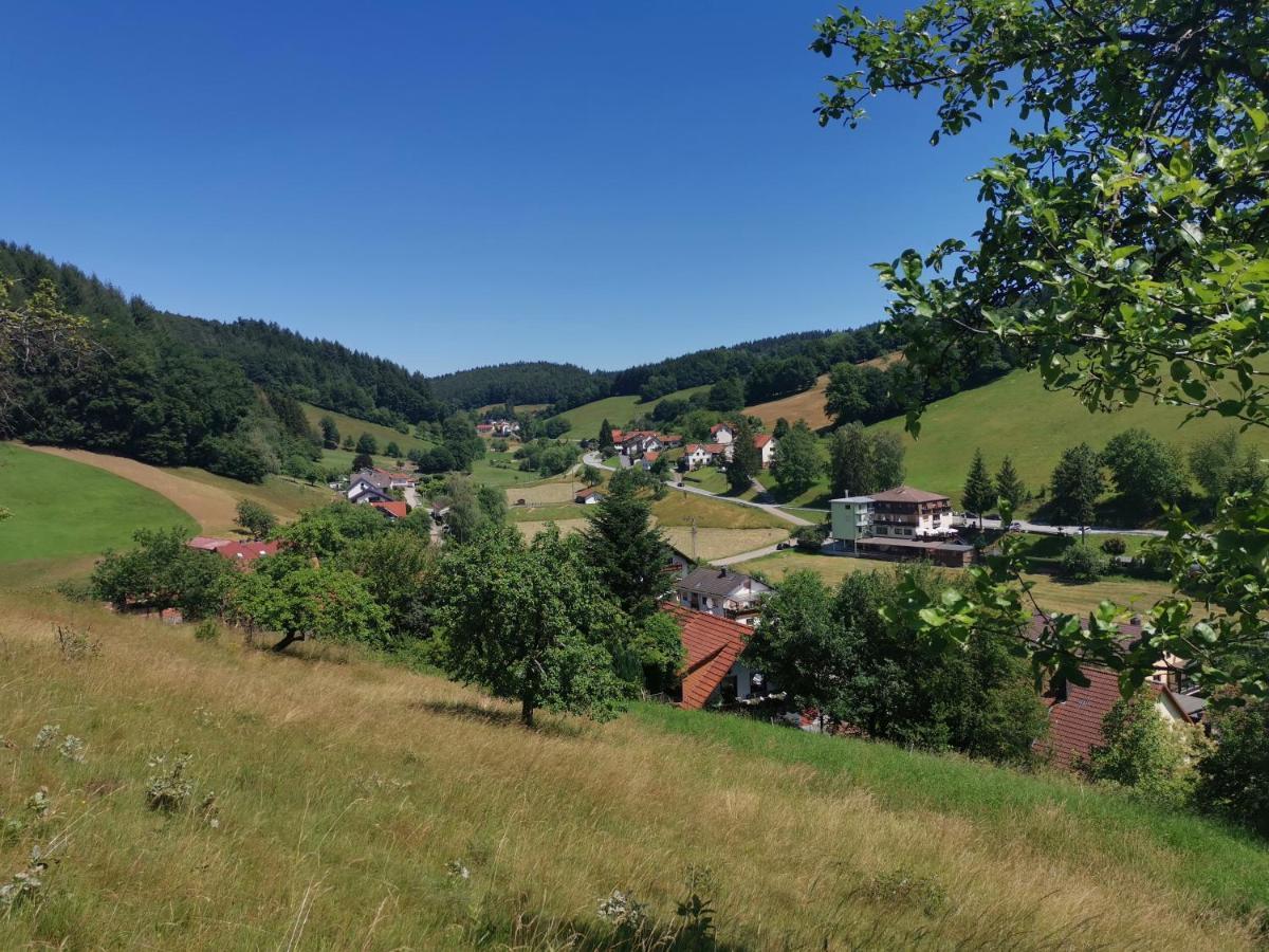 Hotel Gruener Baum Mit Restaurant & Wellness Oberzent Buitenkant foto