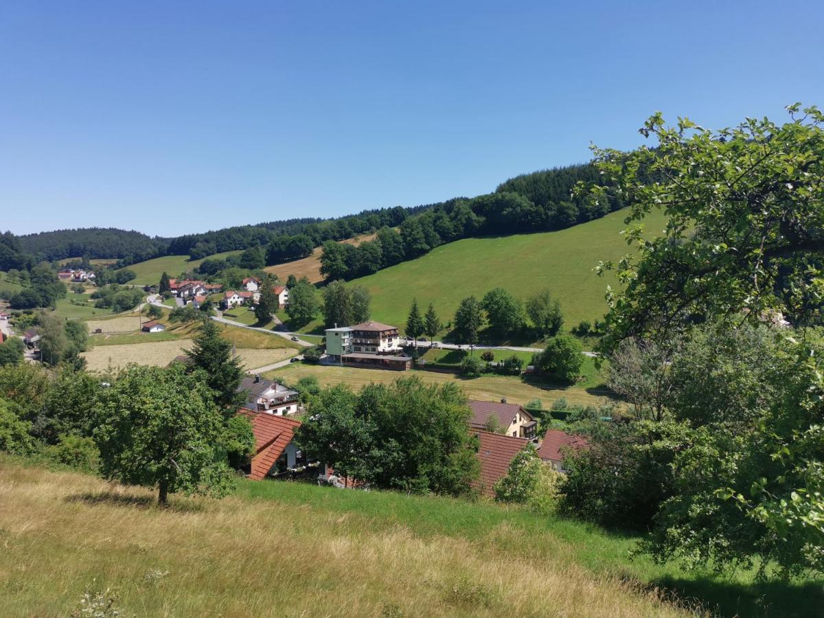 Hotel Gruener Baum Mit Restaurant & Wellness Oberzent Buitenkant foto